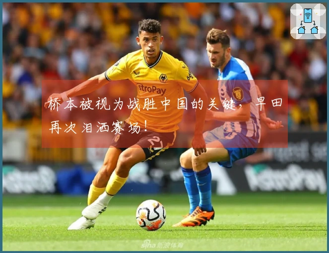 桥本被视为战胜中国的关键，早田再次泪洒赛场！